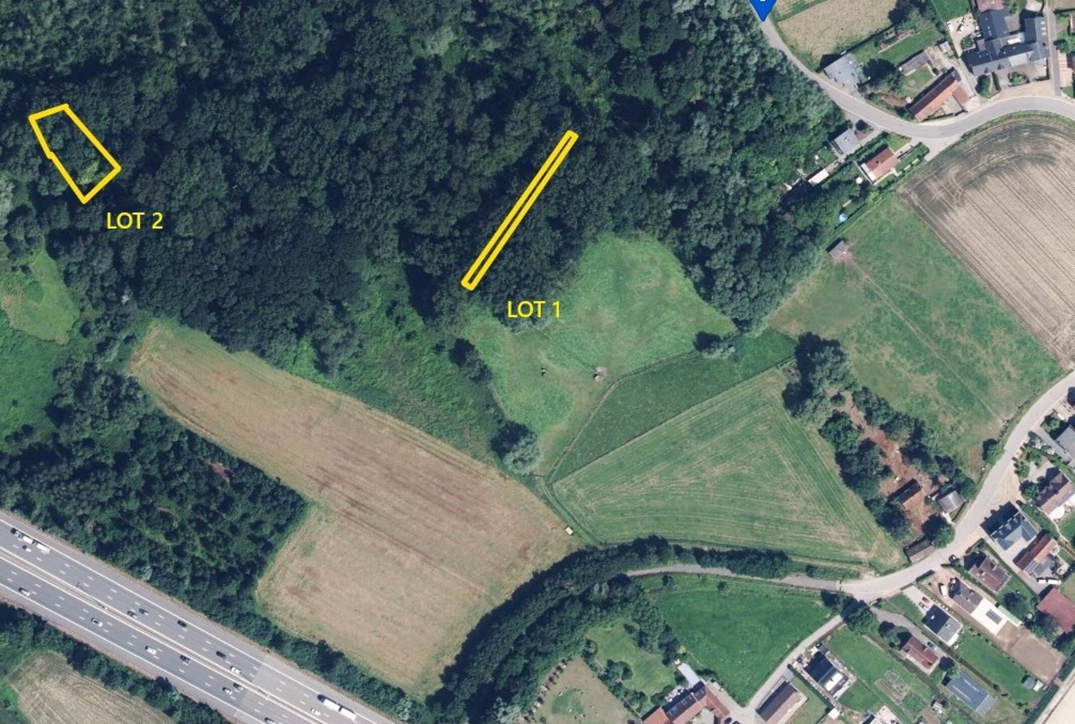 Bos te koop in Erembodegem