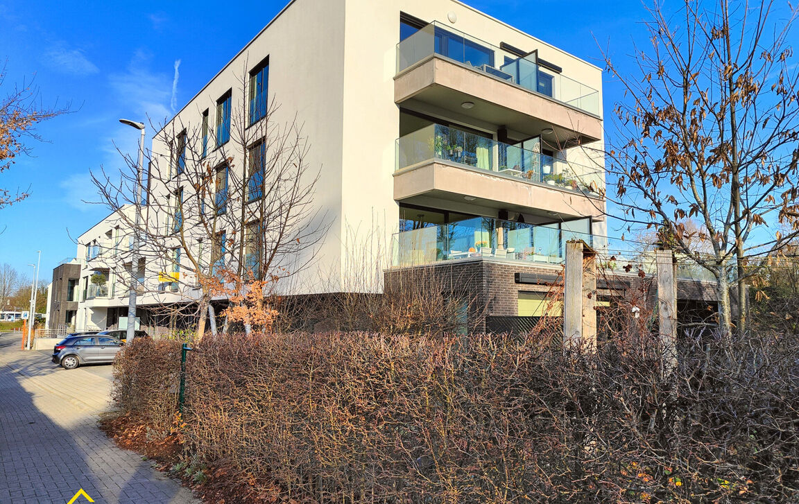 Appartement te huur in Wetteren