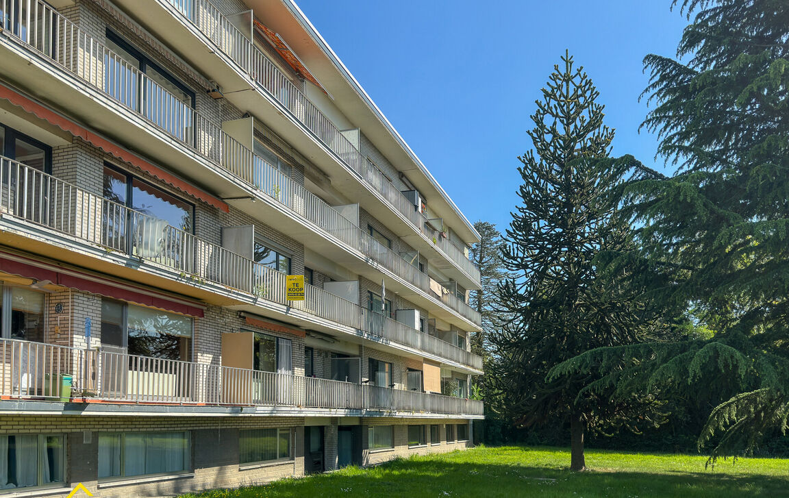 Appartement te koop in Denderleeuw