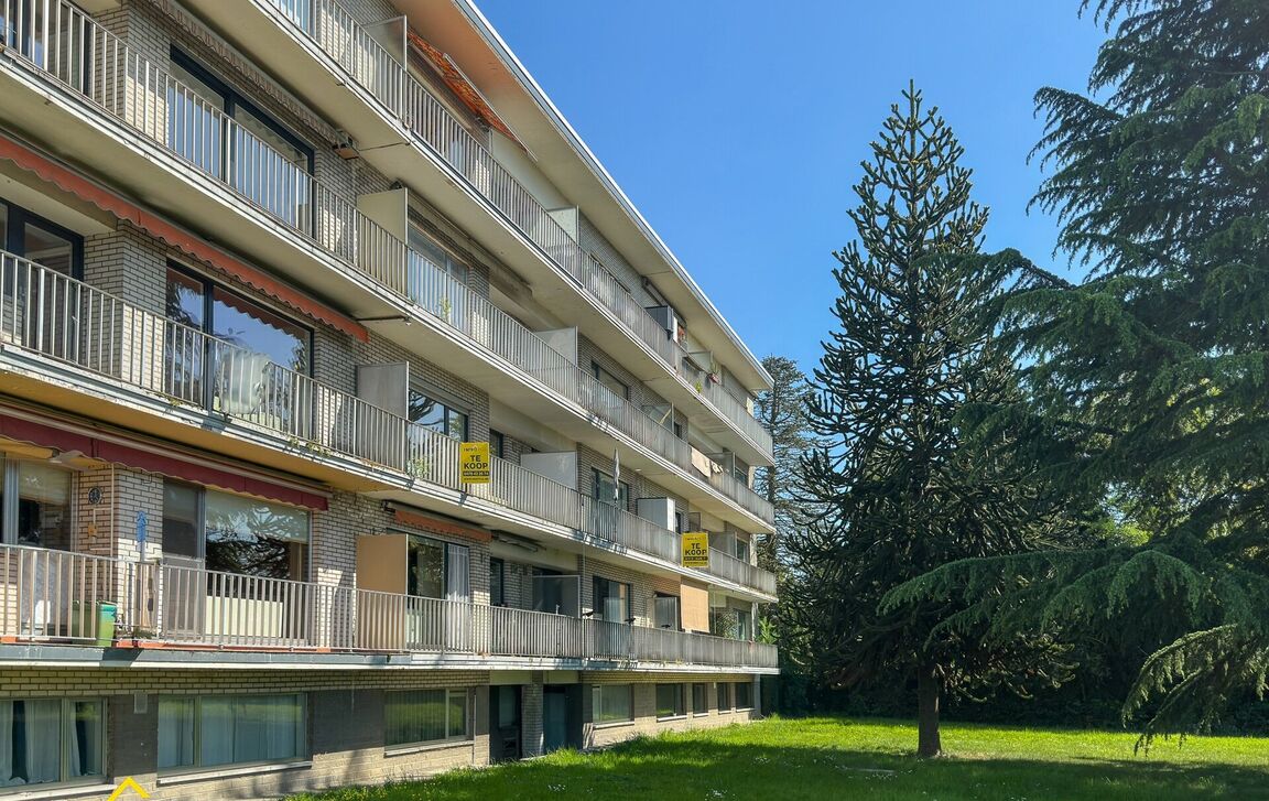 Appartement te koop in Denderleeuw