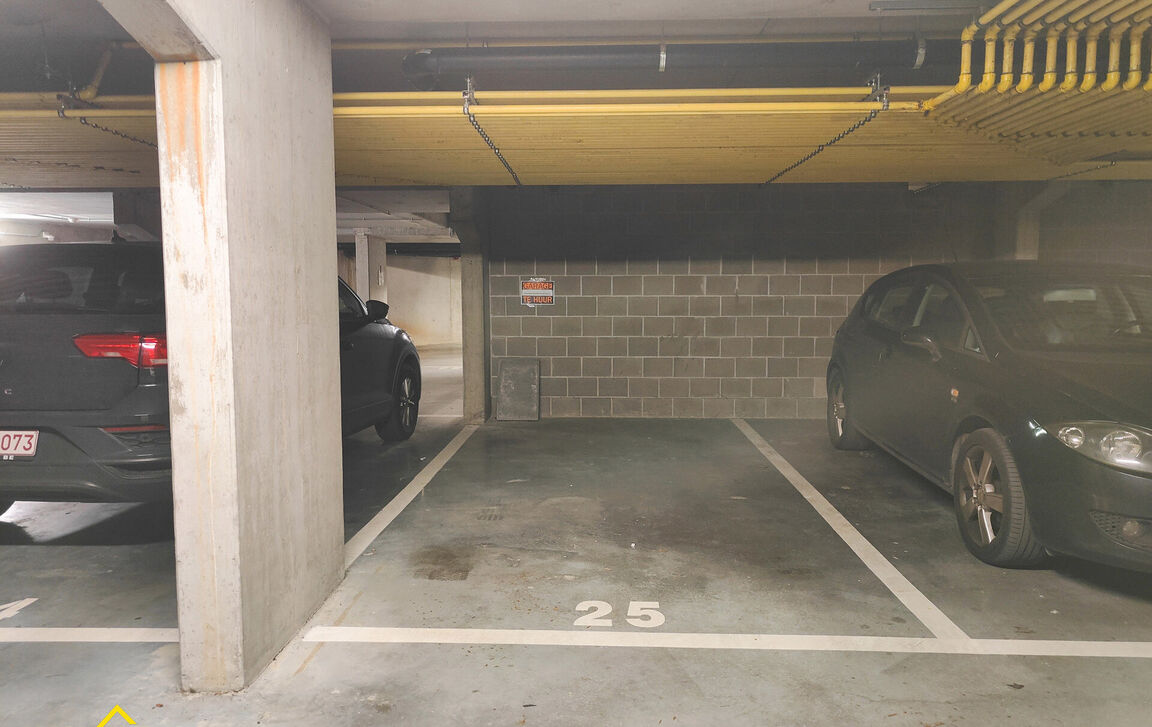 Binnenstaanplaats te huur in Denderleeuw