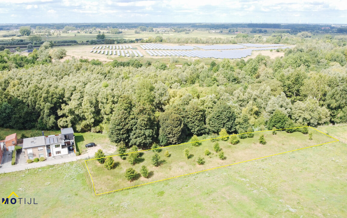 Bos te koop in Dendermonde