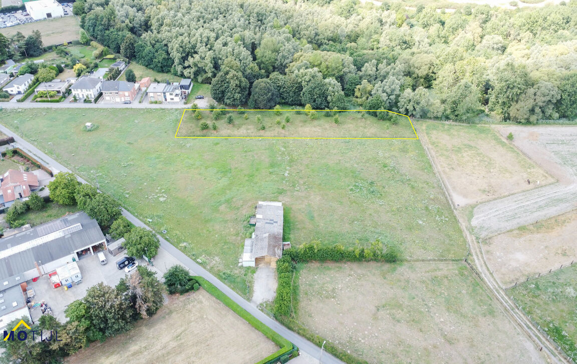 Bos te koop in Dendermonde