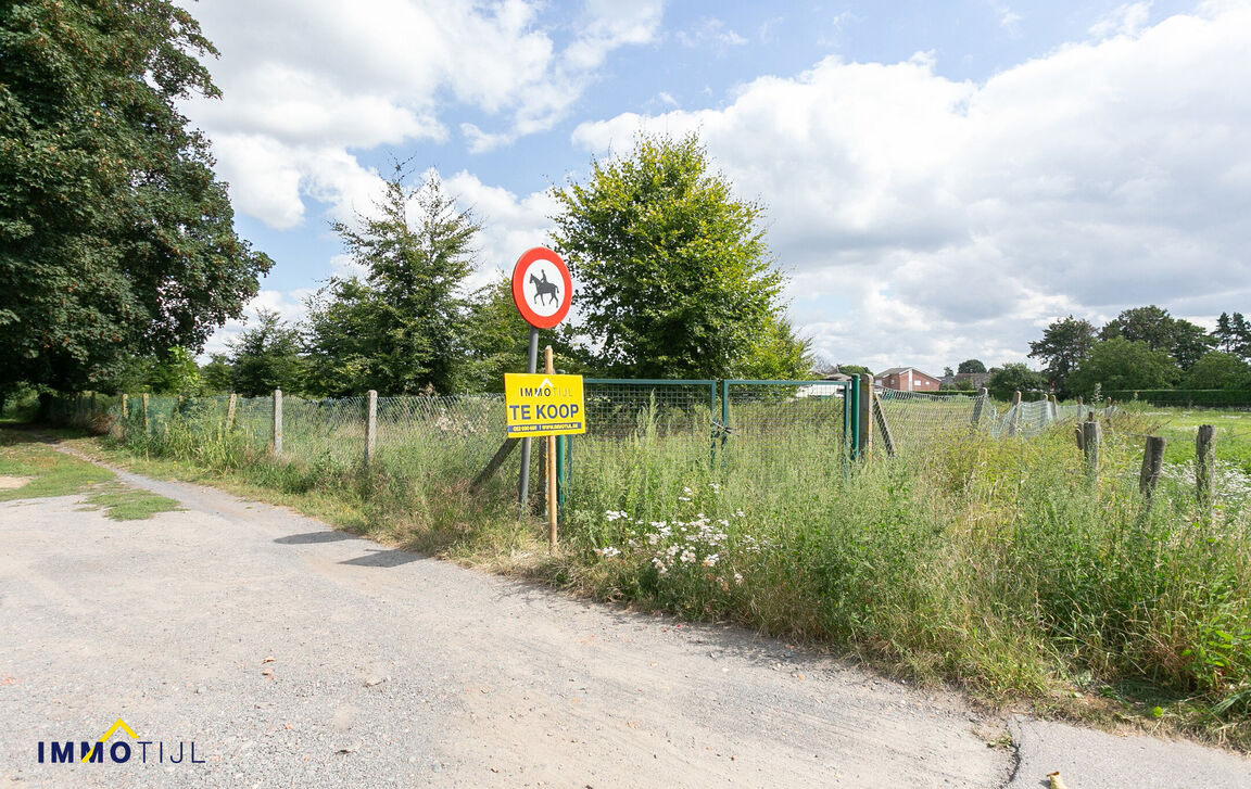 Bos te koop in Dendermonde