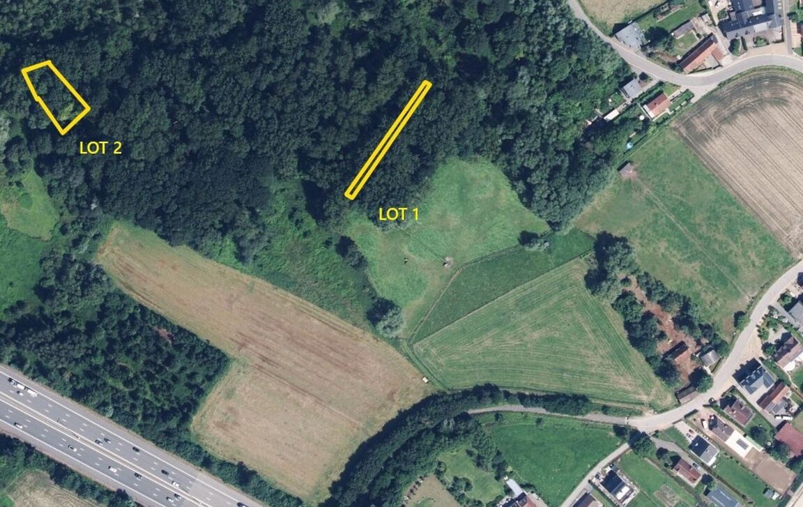 Bos te koop in Erembodegem