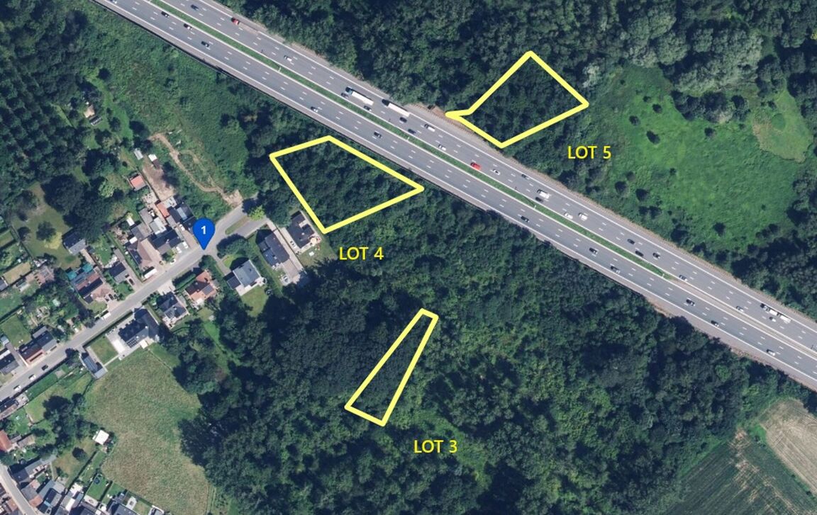 Bos te koop in Erembodegem