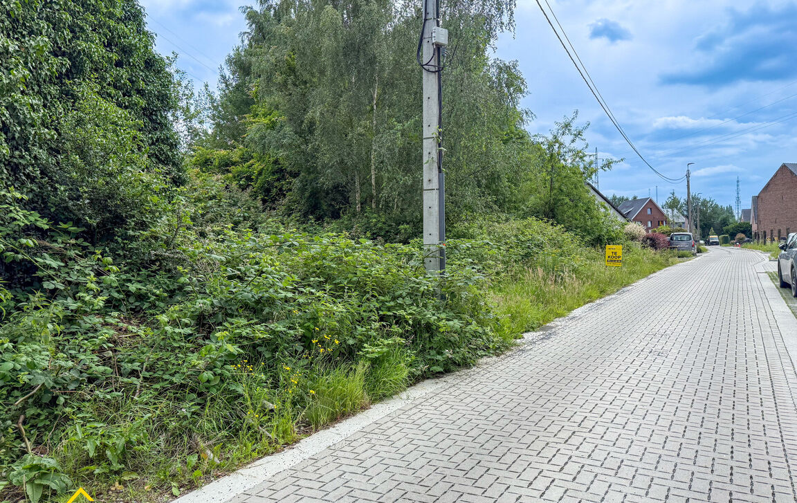Bouwgrond (projecten) te koop in Erembodegem