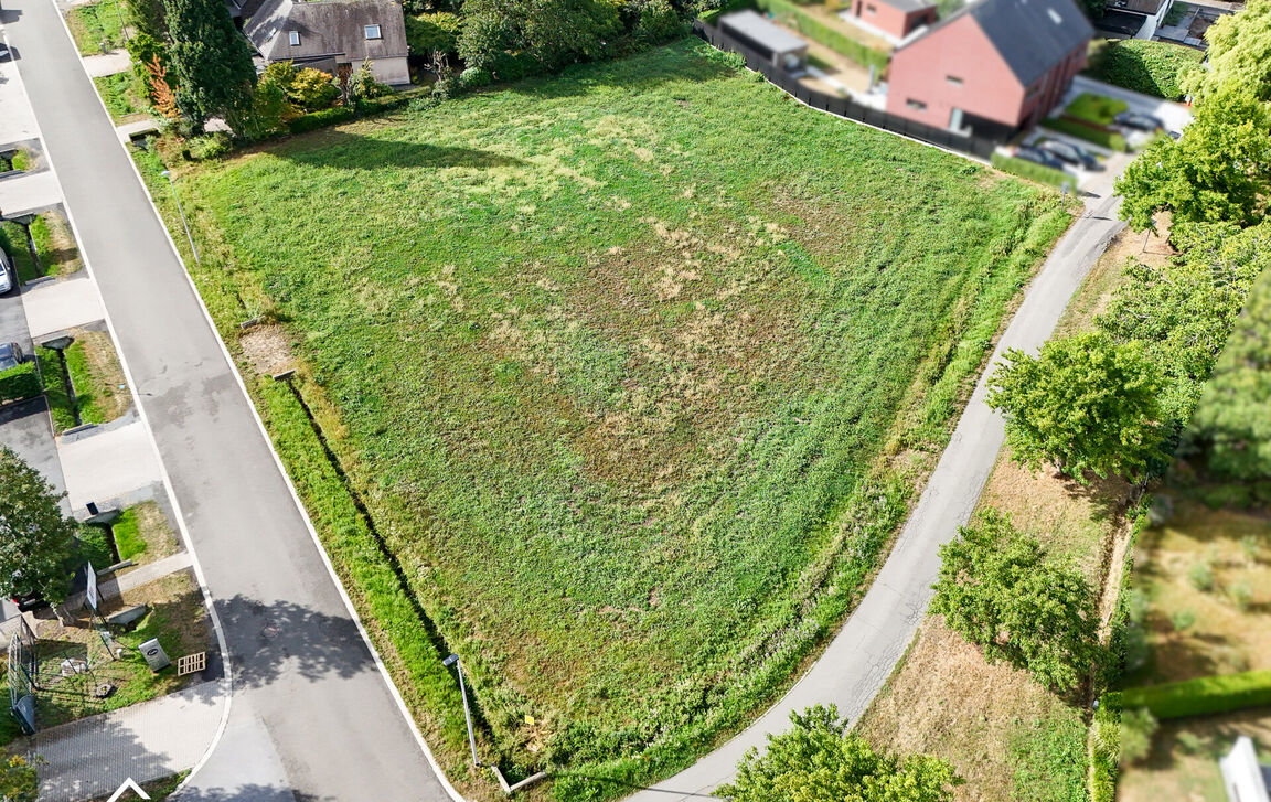 Bouwgrond (projecten) te koop in Lokeren