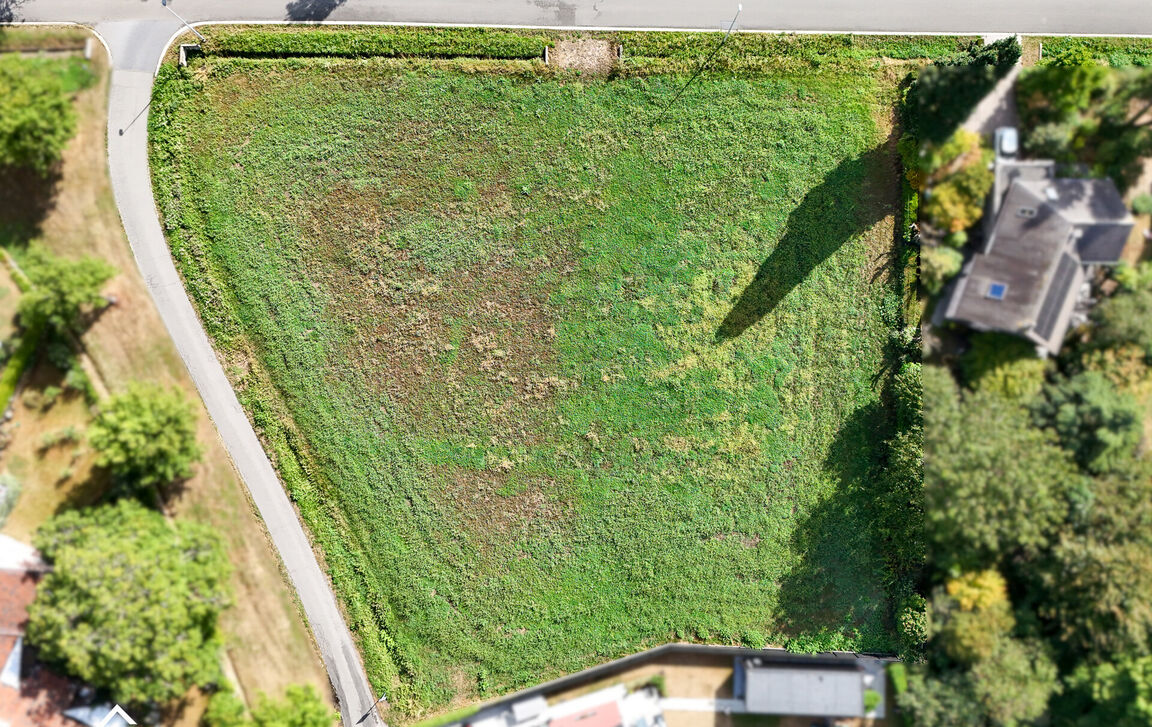 Bouwgrond (projecten) te koop in Lokeren