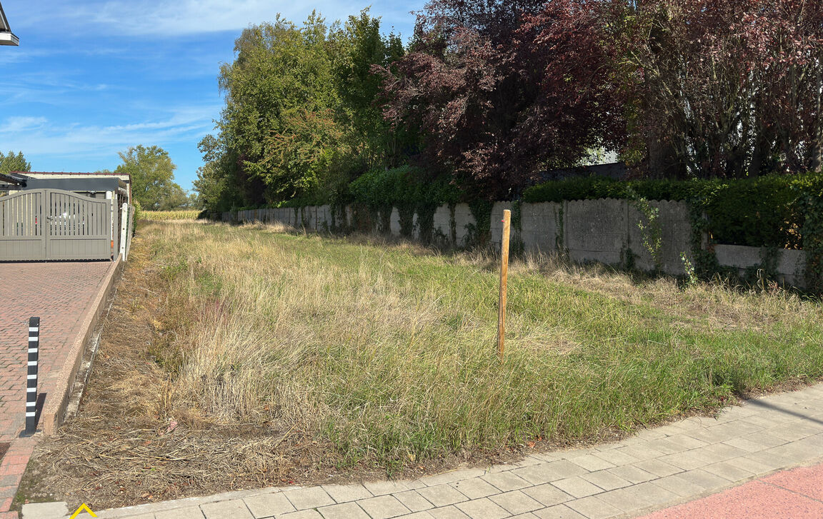 Bouwgrond te koop in Aalst