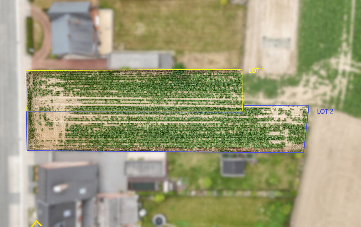 Bouwgrond te koop in Ninove