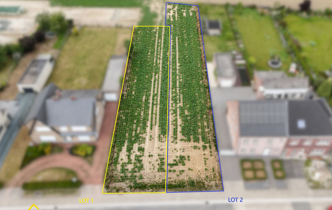 Bouwgrond te koop in Ninove