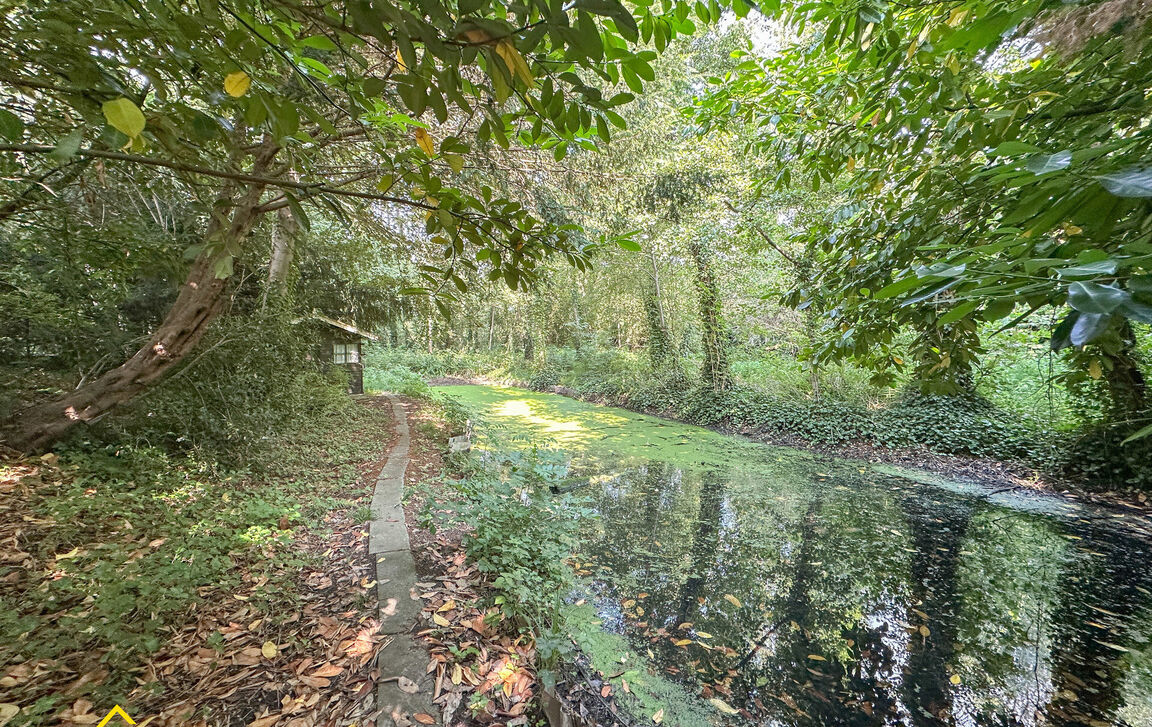 Bungalow te koop in Welle