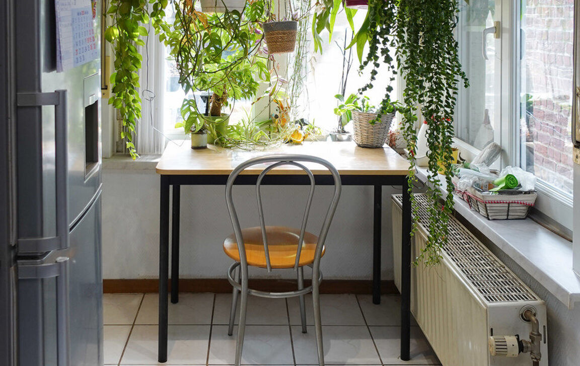 Huis te koop in Baardegem