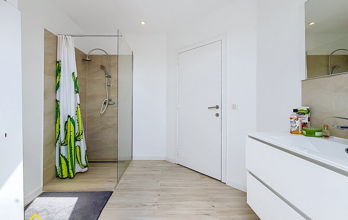 Huis te koop in Denderleeuw