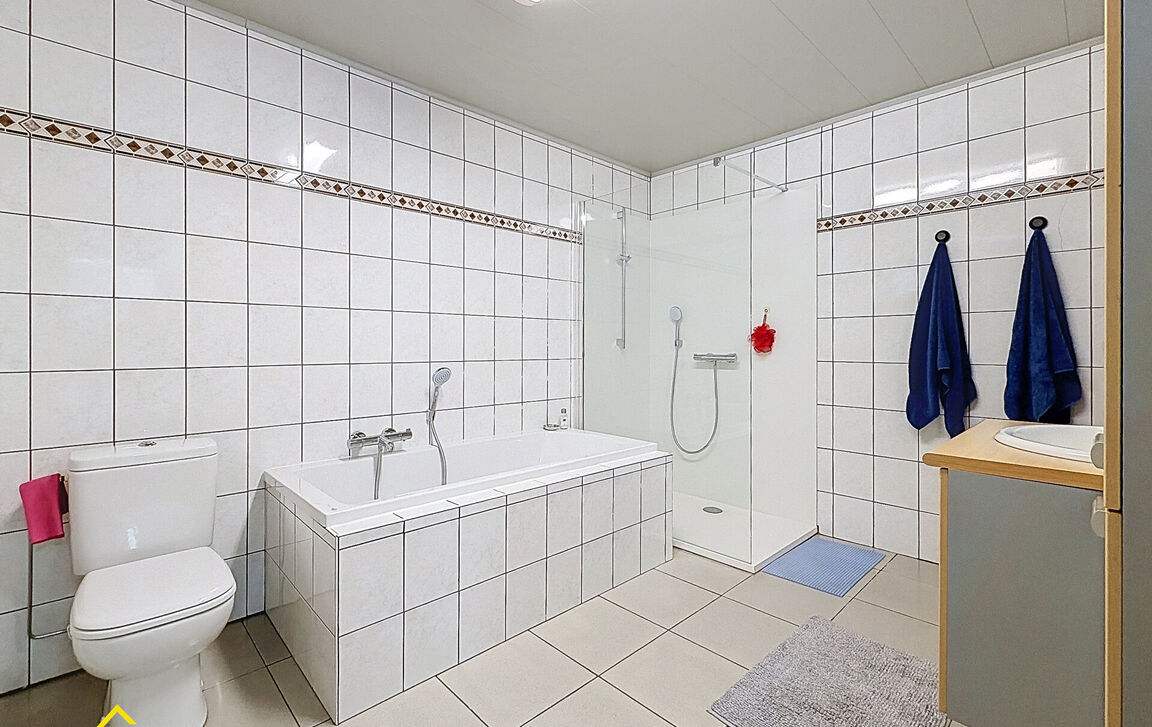 Huis te koop in Denderleeuw