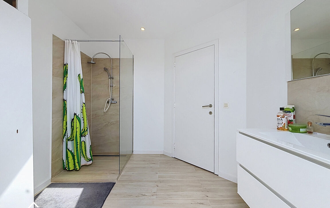 Huis te koop in Denderleeuw