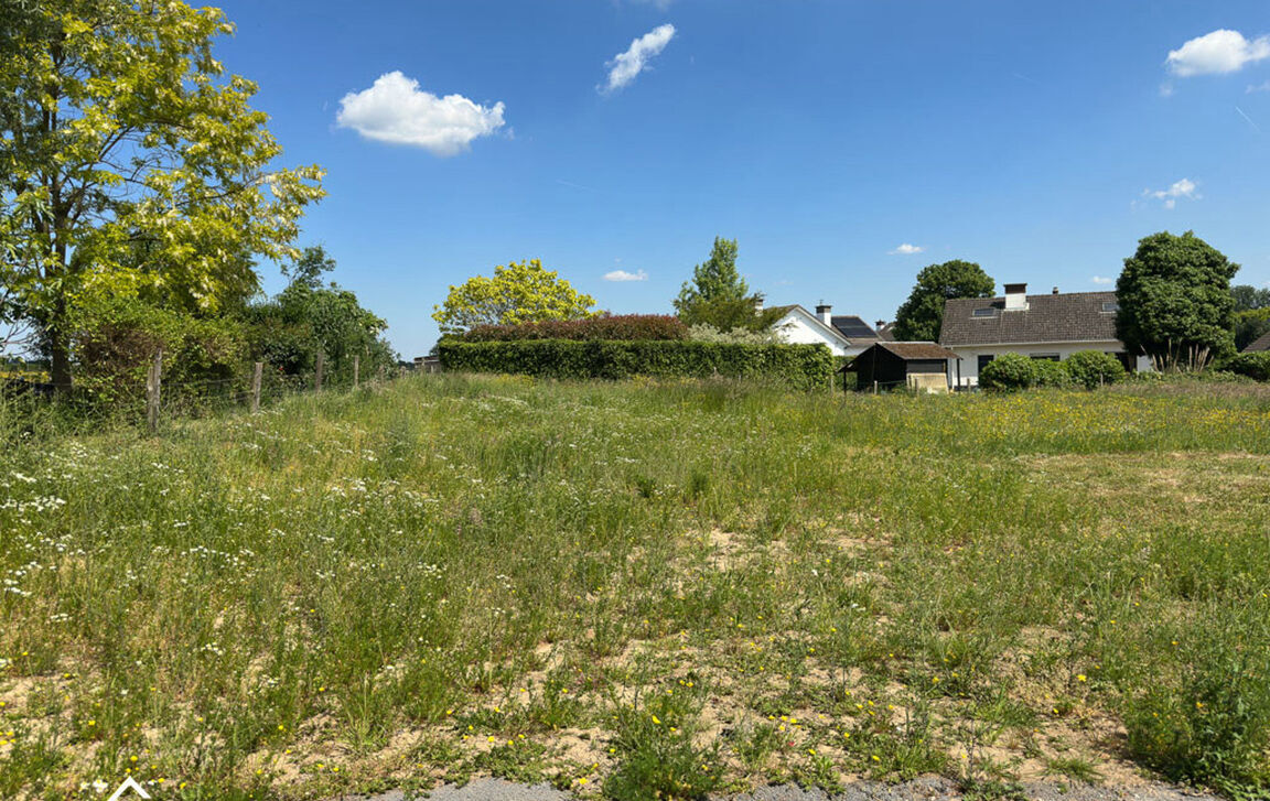 Huis te koop in Denderleeuw