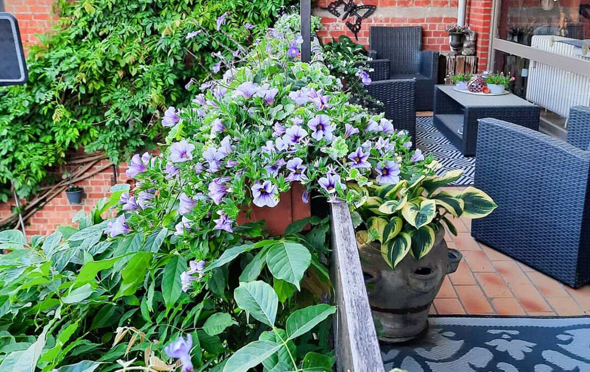 Huis te koop in Dendermonde