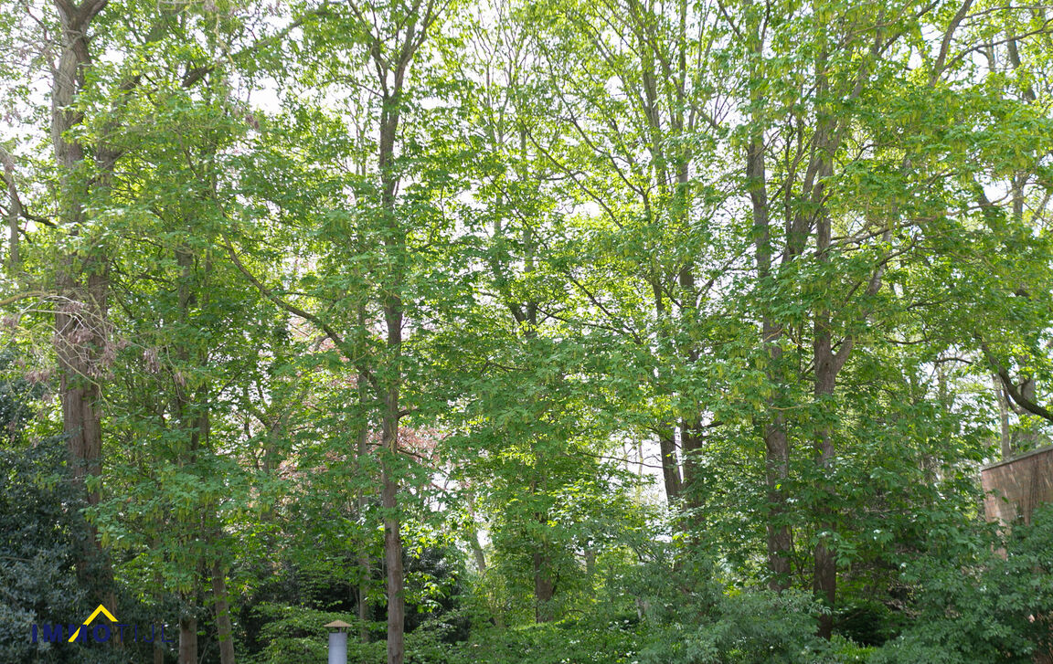 Huis te koop in Hamme