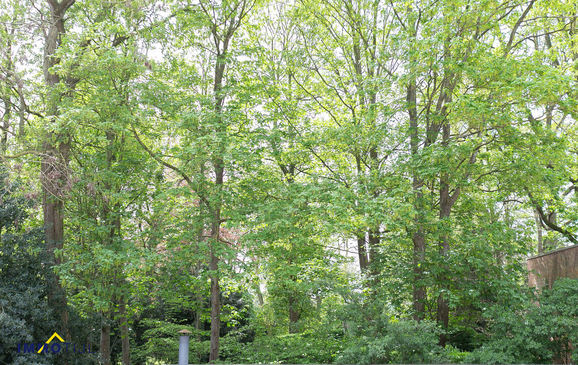 Huis te koop in Hamme