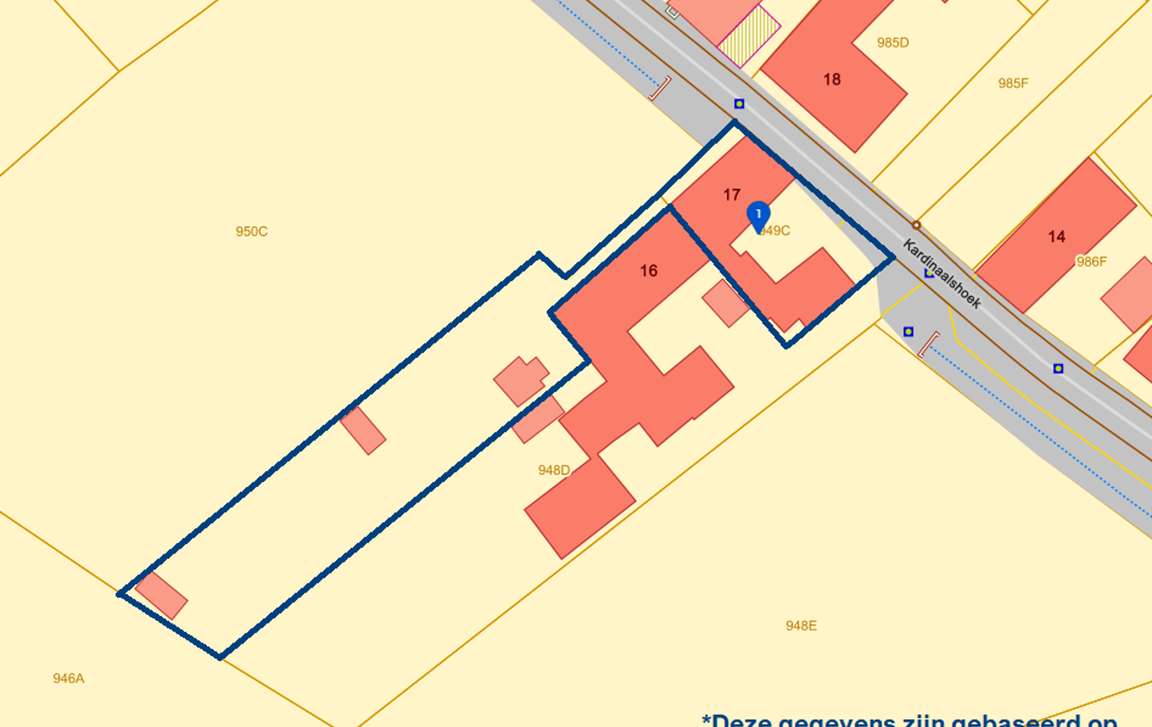 Huis te koop in Lierde