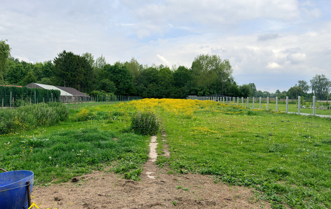Huis te koop in Moorsel