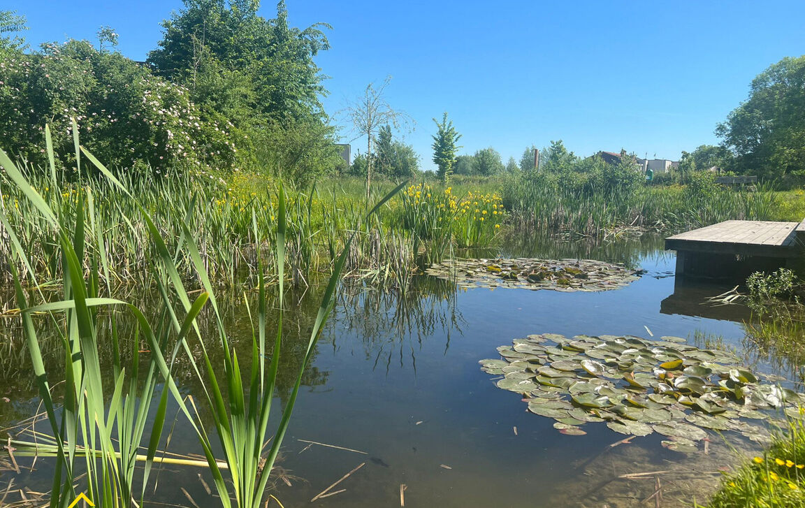 Huis te koop in Opwijk