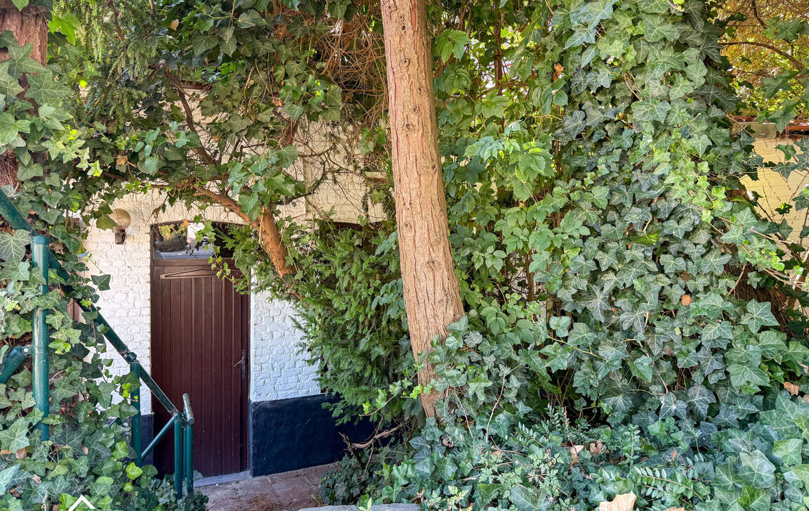 Huis te koop in Welle