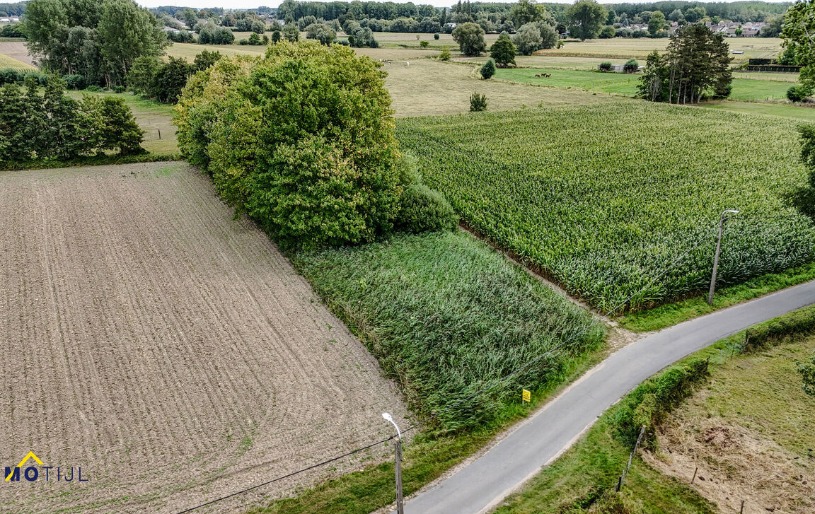 Landbouwgrond te koop in Dendermonde