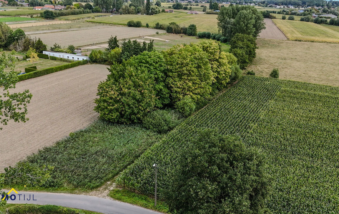 Landbouwgrond te koop in Dendermonde