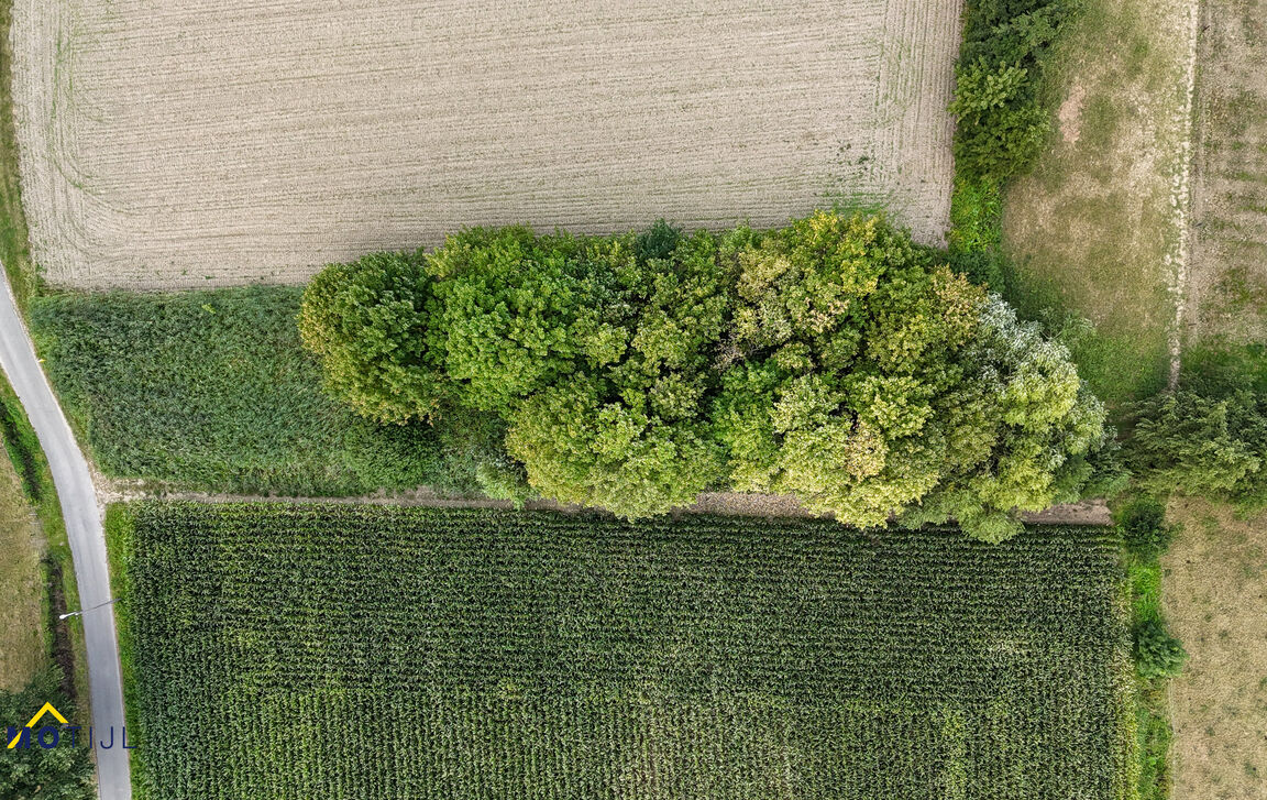 Landbouwgrond te koop in Dendermonde