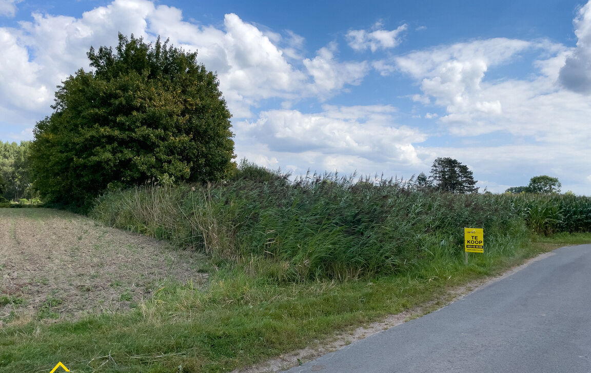 Landbouwgrond te koop in Dendermonde