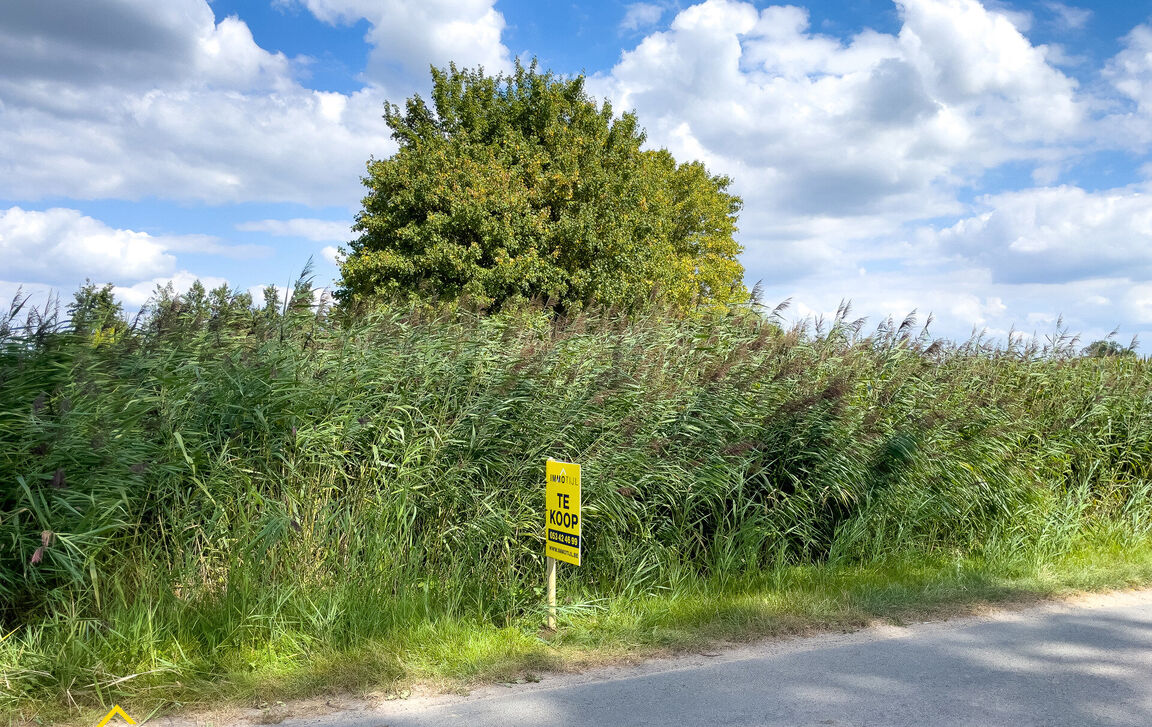 Landbouwgrond te koop in Dendermonde