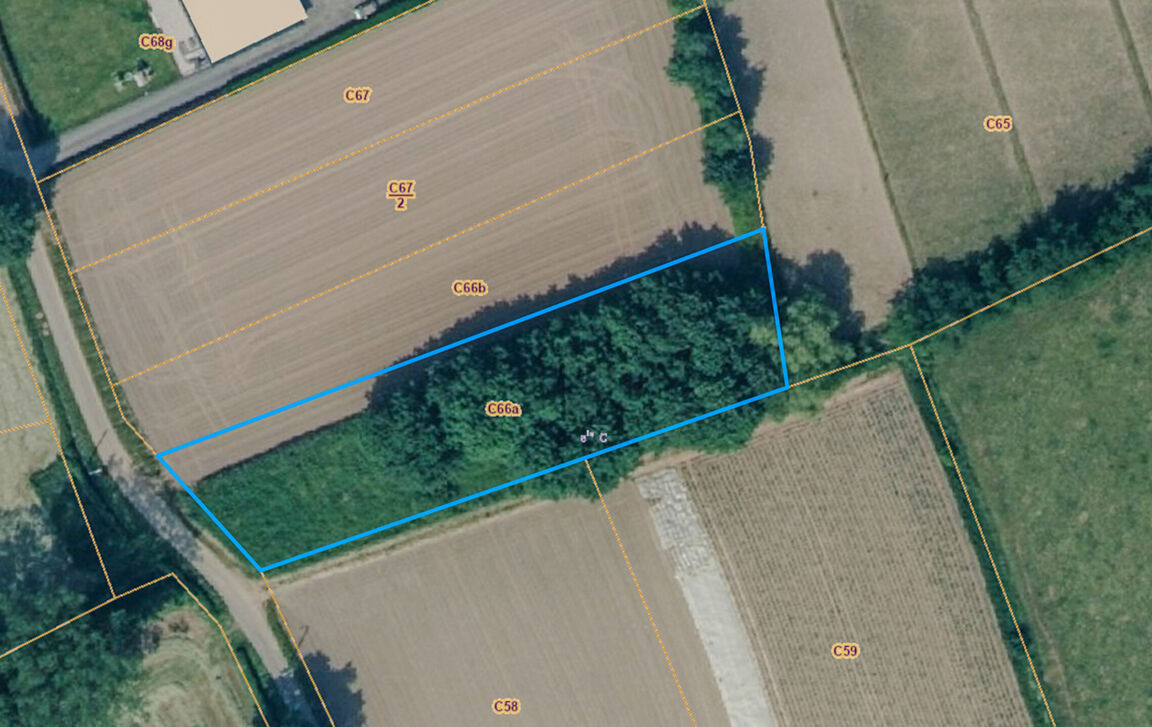Landbouwgrond te koop in Dendermonde