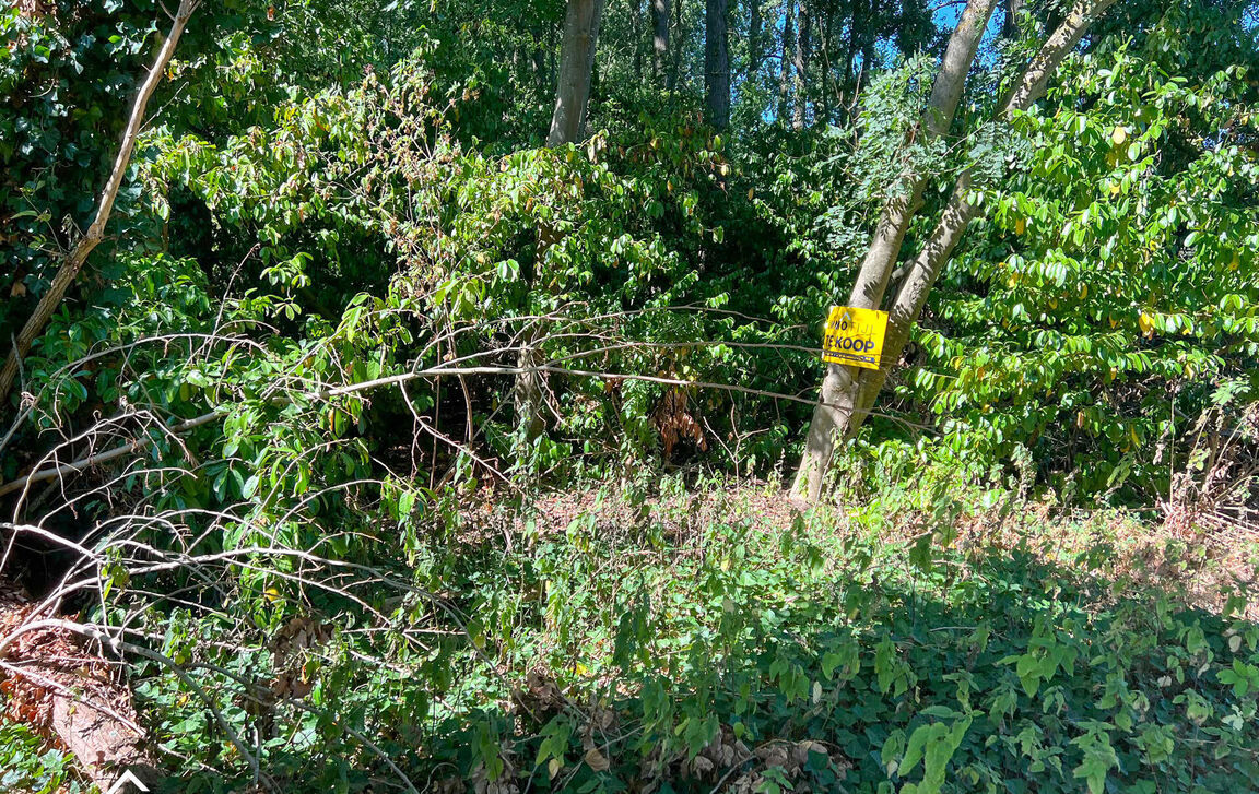 Landbouwgrond te koop in Lede