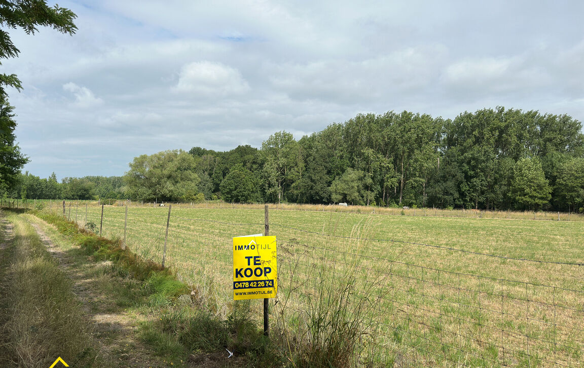 Weide te koop in Erembodegem