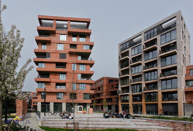 Appartement te huur in Dendermonde