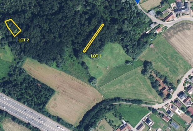 Bos te koop in Erembodegem