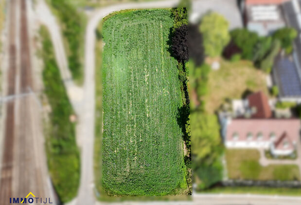 Bouwgrond (projecten) te koop in Welle