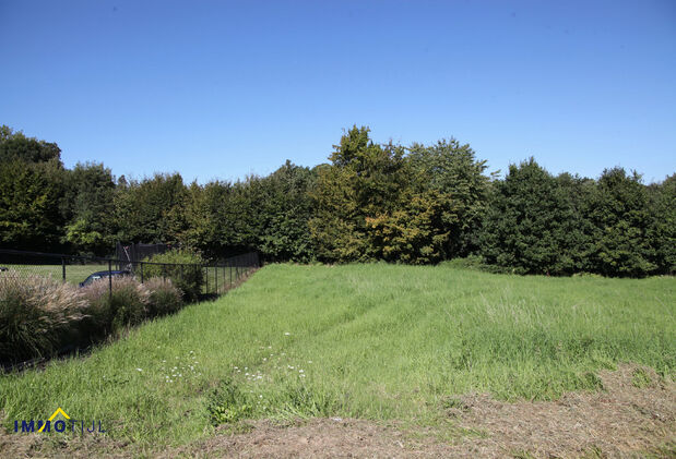 Bouwgrond te koop in Asse