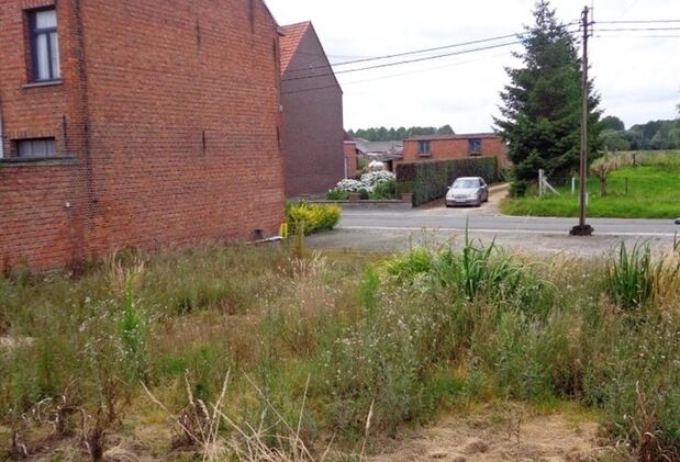 DSC05276.JPGPictureReference:[128315]