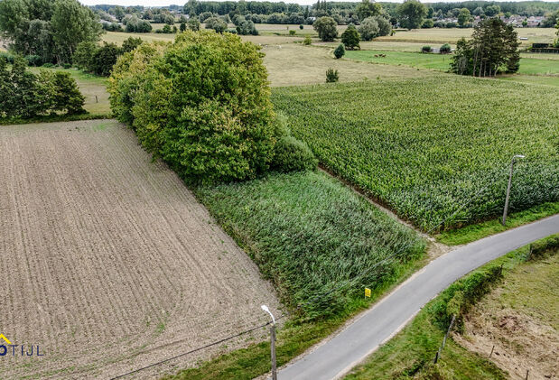 Landbouwgrond te koop in Dendermonde