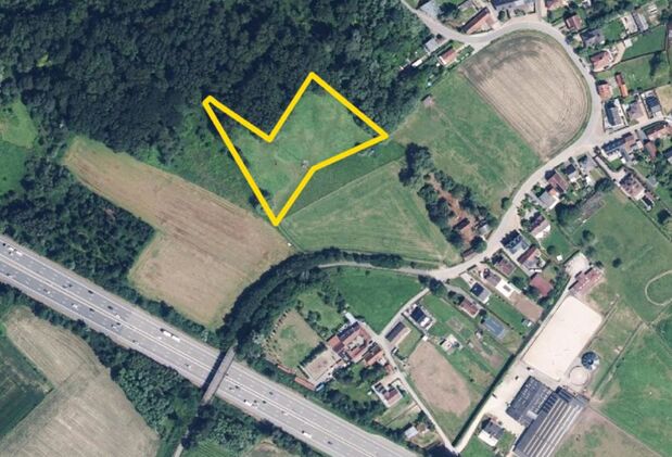 Weide te koop in Erembodegem